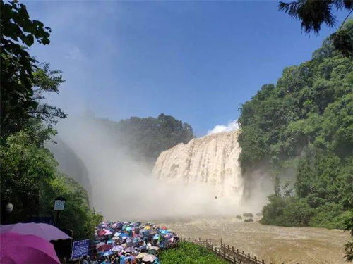 游客注意 即日起,黃果樹(shù)景區(qū)開(kāi)閉園時(shí)間有調(diào)整