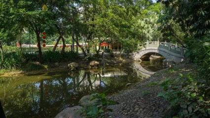 深圳最適合一日游的免費景點,各區(qū)都有!不要再說周末沒地方去啦.