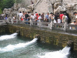 助力保泉 濟南5個滲漏區(qū)明年將修復