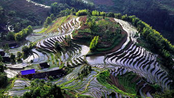 紫鵲界盛裝啟航，9月8日正式向游客開放，園區管理服務全面升級