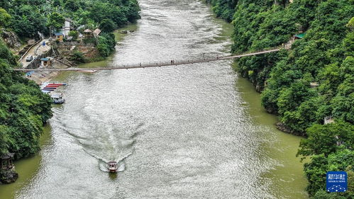 秋日峽谷景致怡人，園區管理服務提升游覽體驗